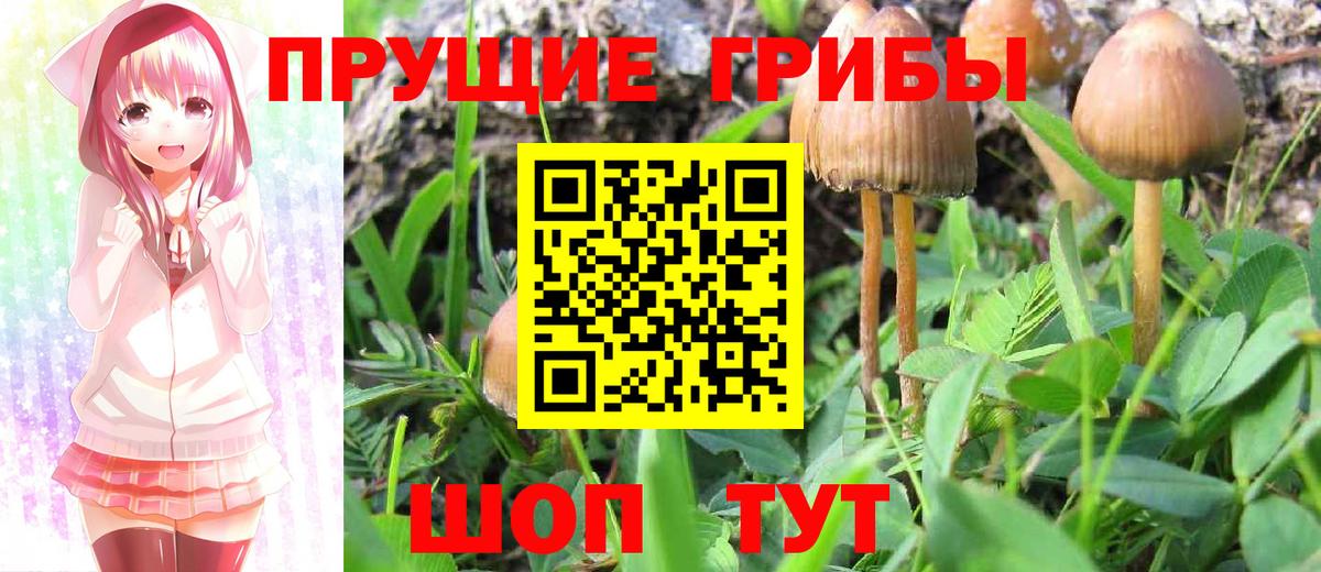 Псилоцибиновые грибы мухоморы  Вход с VPN  где можно купить наркотик  Самара 