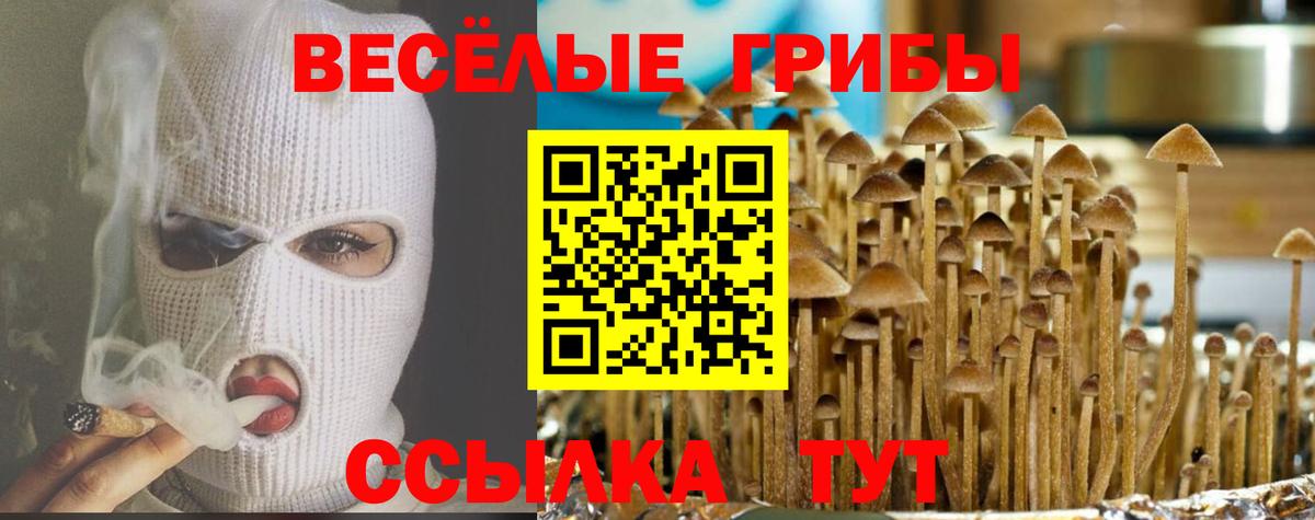 Псилоцибиновые грибы GOLDEN TEACHER Самара